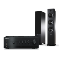 YAMAHA R-N800A + TESI 6