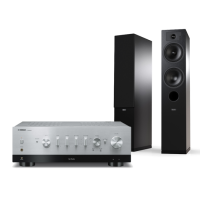 YAMAHA R-N800A + TESI 5 4