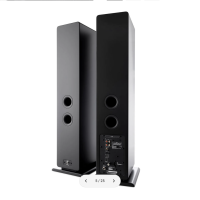 ARGON AUDIO FORTE A55 MKII BLACK 2