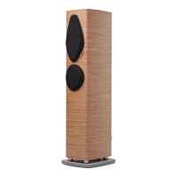 SONUS FABER SONETTO III G2 WALNUT 2