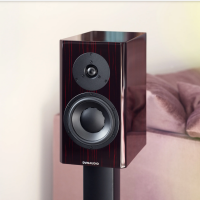 DYNAUDIO SEPCIAL FORTY BLACK VINE