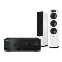 YAMAHA R-N800A + TESI 6 2