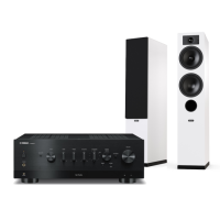 YAMAHA R-N800A + TESI 5 2