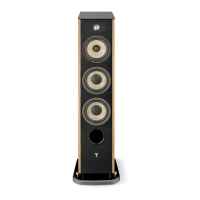 FOCAL ARIA EVO X N2 PRIME WALNUT 3