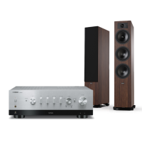 YAMAHA R-N800A + TESI 6 6