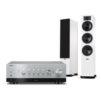 YAMAHA R-N800A + TESI 6 5