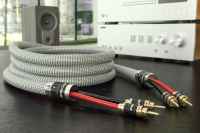 Ricable Invictus Speaker Reference MKII 3