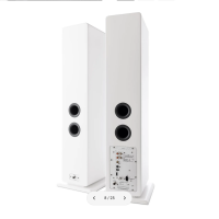 ARGON AUDIO FORTE A55 MKII WHITE 2
