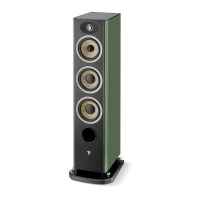 FOCAL ARIA EVO X N2 MOSS GREEN HIGHT GLOOS