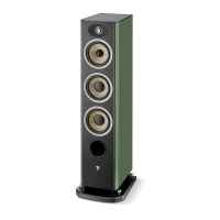 FOCAL ARIA EVO X N2 MOSS GREEN HIGHT GLOOS 