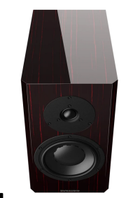 DYNAUDIO SEPCIAL FORTY BLACK VINE 4