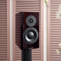 DYNAUDIO SEPCIAL FORTY BLACK VINE 2