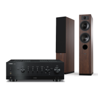 YAMAHA R-N800A + TESI 5 3