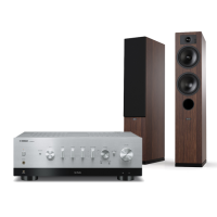 YAMAHA R-N800A + TESI 5 6