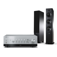 YAMAHA R-N800A + TESI 6 4