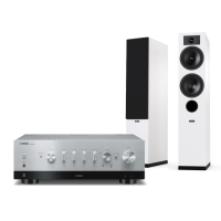 YAMAHA R-N800A + TESI 5 5