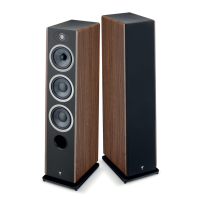 FOCAL VESTIA N2 WALNUT 4