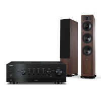 YAMAHA R-N800A + TESI 6 3