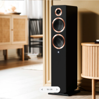 ARGON AUDIO FORTE A55 MKII BLACK 4
