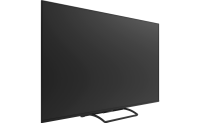 PANASONIC TN-55W95CEZS 3