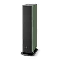 FOCAL ARIA EVO X N2 MOSS GREEN HIGHT GLOOS 2