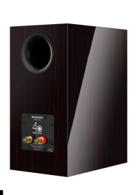 DYNAUDIO SEPCIAL FORTY BLACK VINE 5
