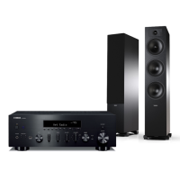 YAMAHA R-N600 + TESI 6 