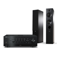 YAMAHA R-N800A + TESI 5