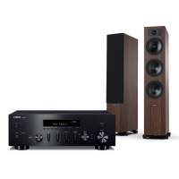 YAMAHA R-N600 + TESI 6 3